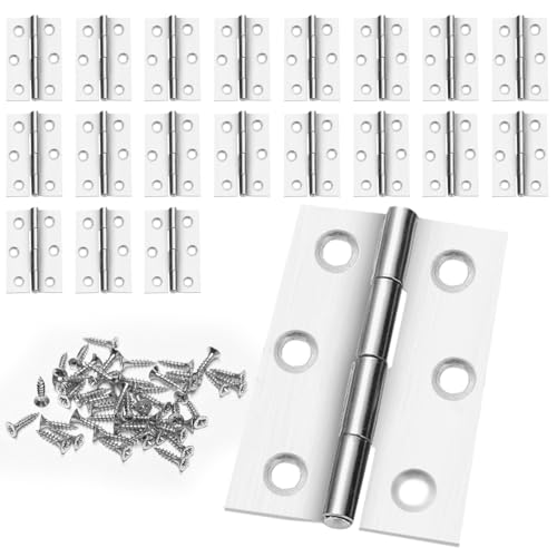 Meilleur choix de charnières porte placard 2044mm×30inox avec 120 vis pour portes et armoires