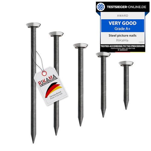 RIKAMA® Lot de 50 clous pour tableau, 10 x 20 mm – Meilleur choix en Europe (tête argentée) : Guide d’achat 2023